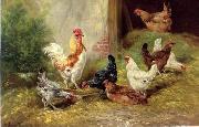 unknow artist, poultry  127